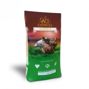 ENERGYS Nosnica klasik 10kg
