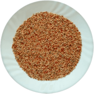 AVC Classic Menu Andulka 20kg