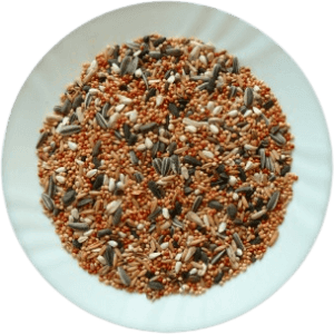AVC Classic Menu Malý papagáj 20kg